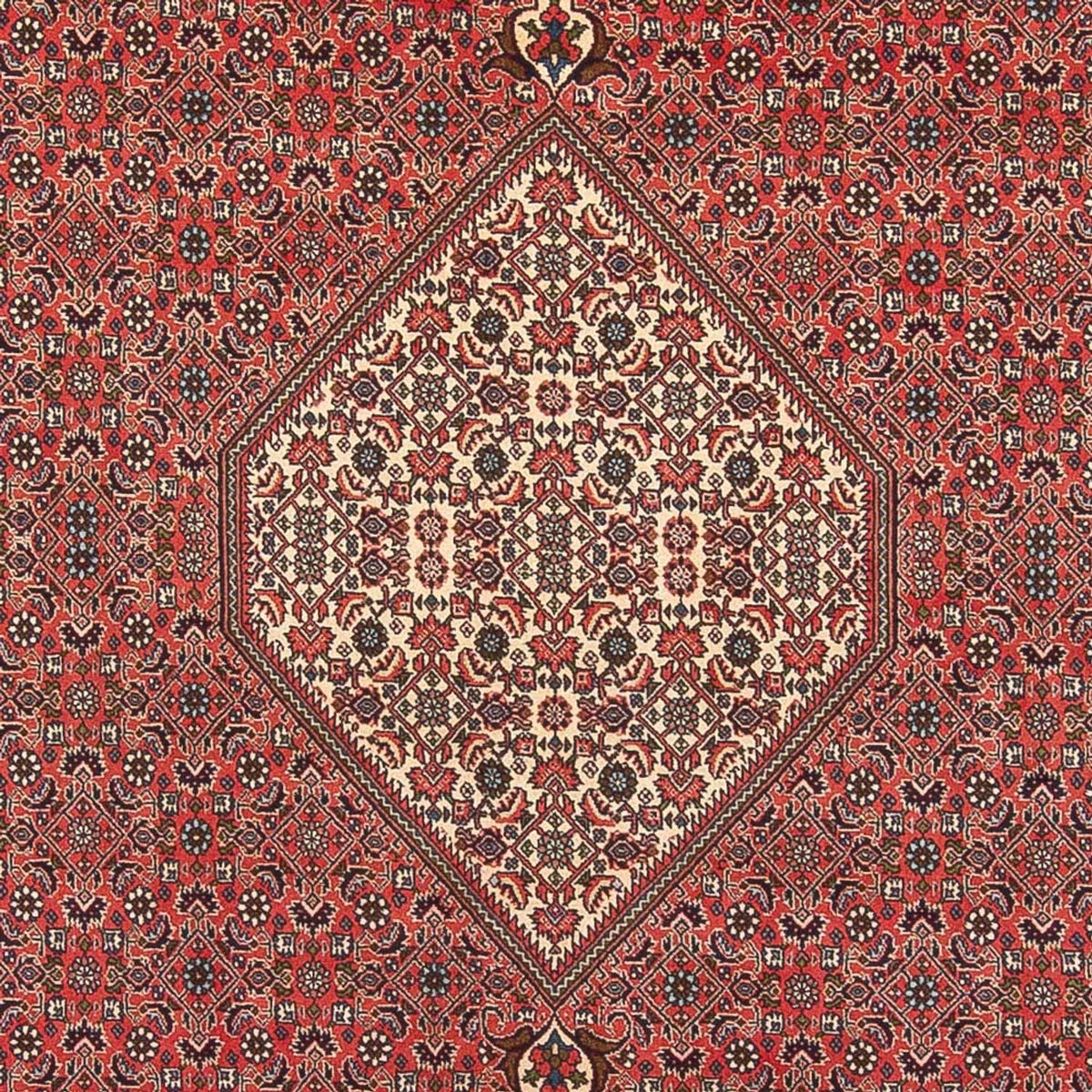 Tapis persan - Bidjar - 395 x 300 cm - rouge clair