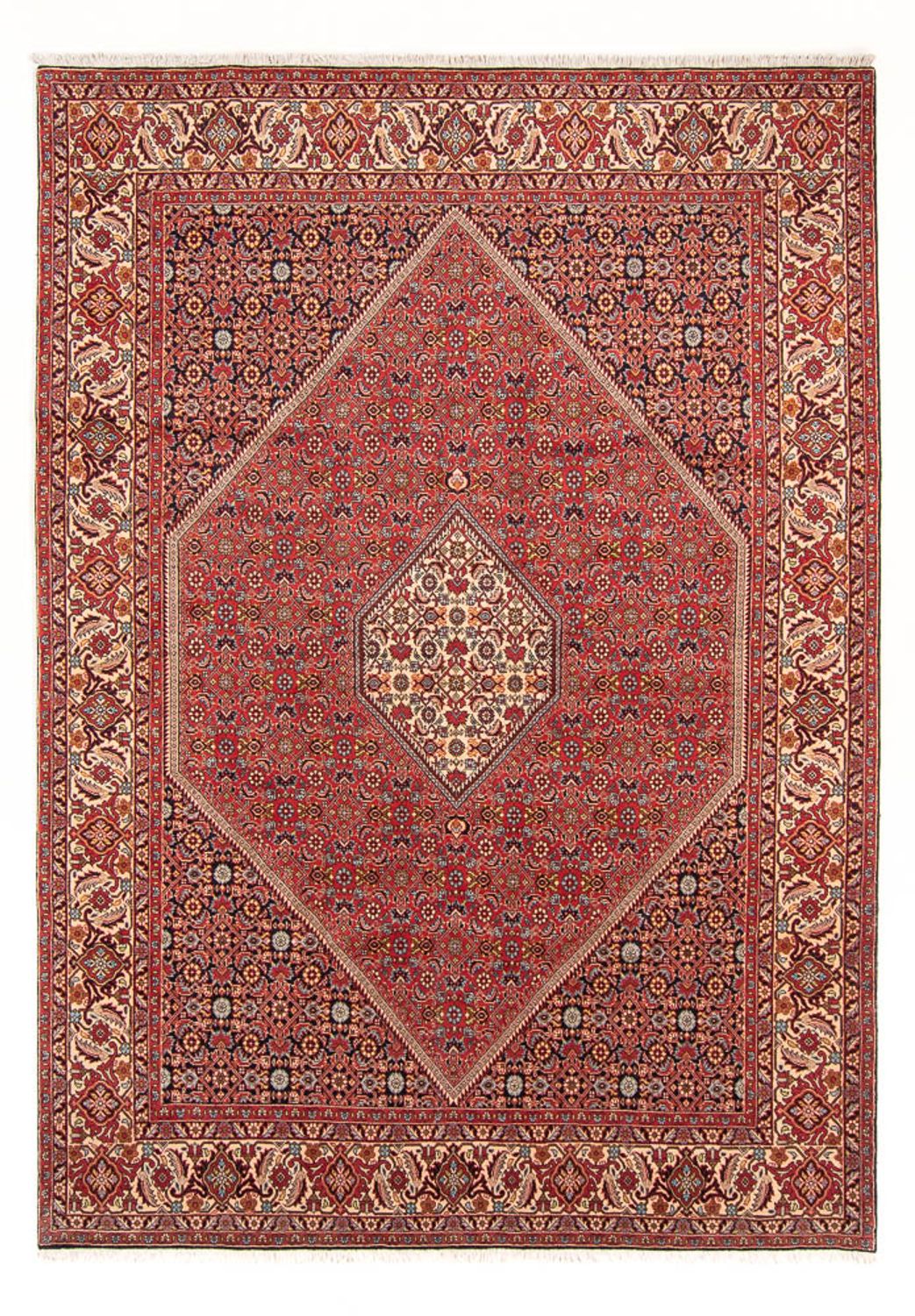 Tapis persan - Bidjar - 293 x 206 cm - rouge