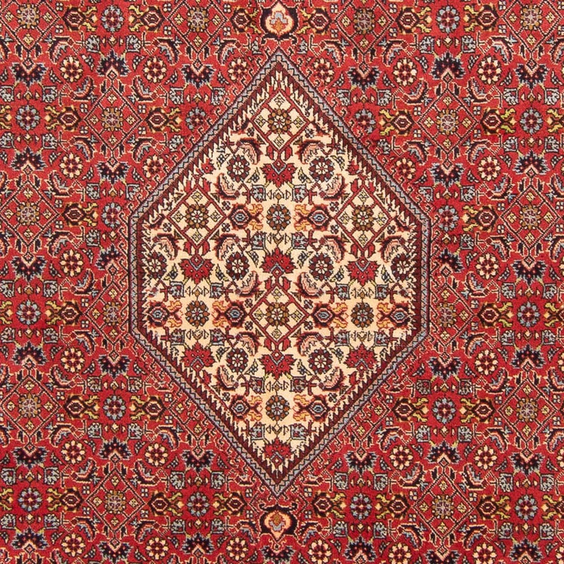 Tapis persan - Bidjar - 293 x 206 cm - rouge