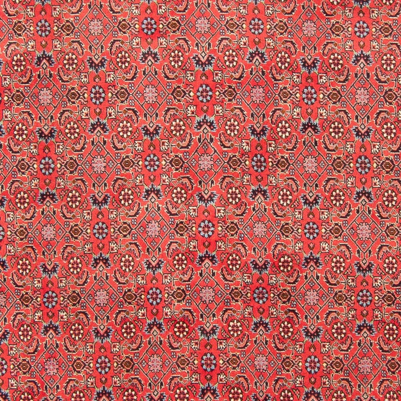 Tapis persan - Bidjar - 294 x 200 cm - rouge