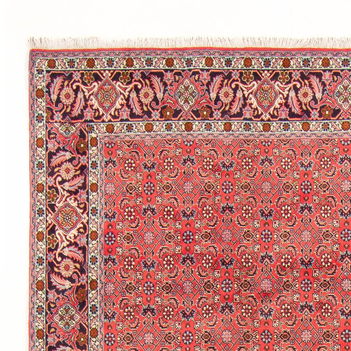 Tapis persan - Bidjar - 294 x 200 cm - rouge