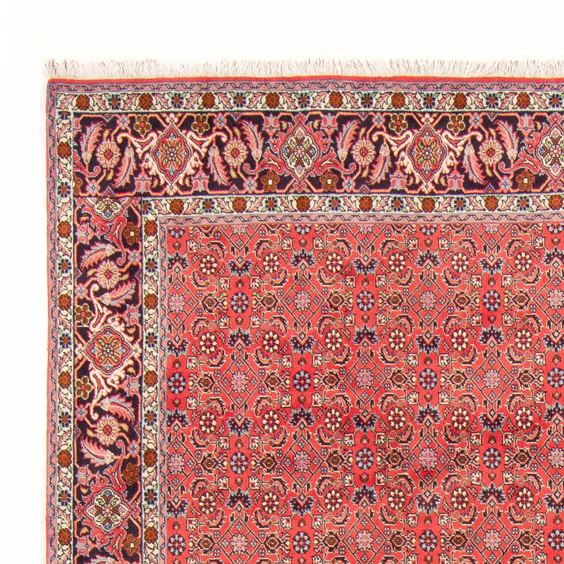 Tapis persan - Bidjar - 294 x 200 cm - rouge