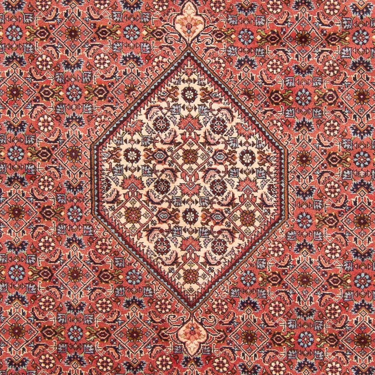 Tapis persan - Bidjar - 290 x 204 cm - rouge