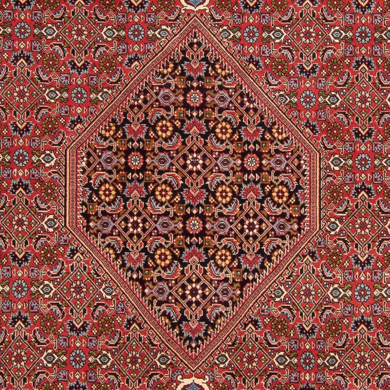 Tapis persan - Bidjar - 307 x 200 cm - rouge