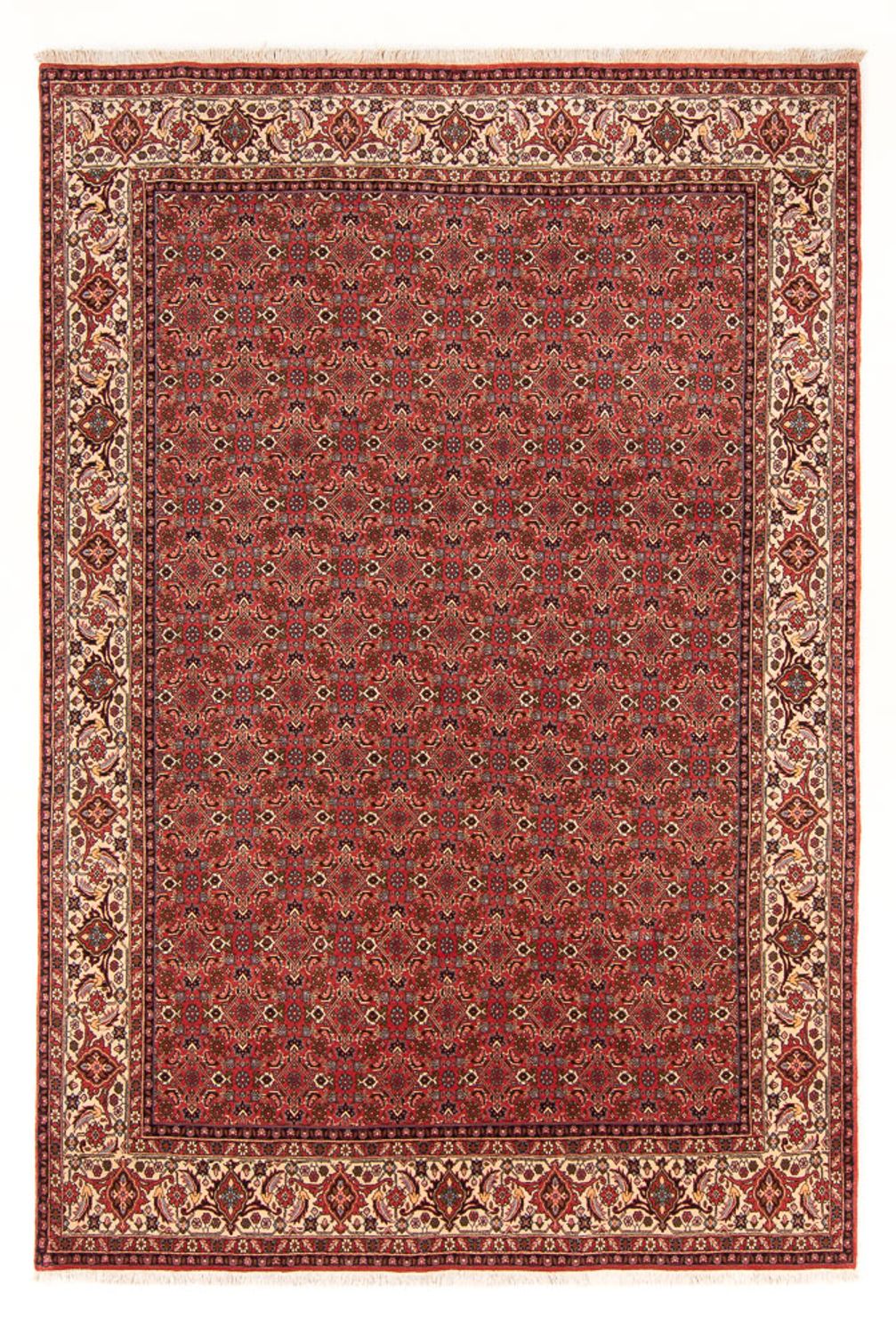 Tapis persan - Bidjar - 289 x 195 cm - rouge