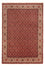 Tapis persan - Bidjar - 289 x 195 cm - rouge