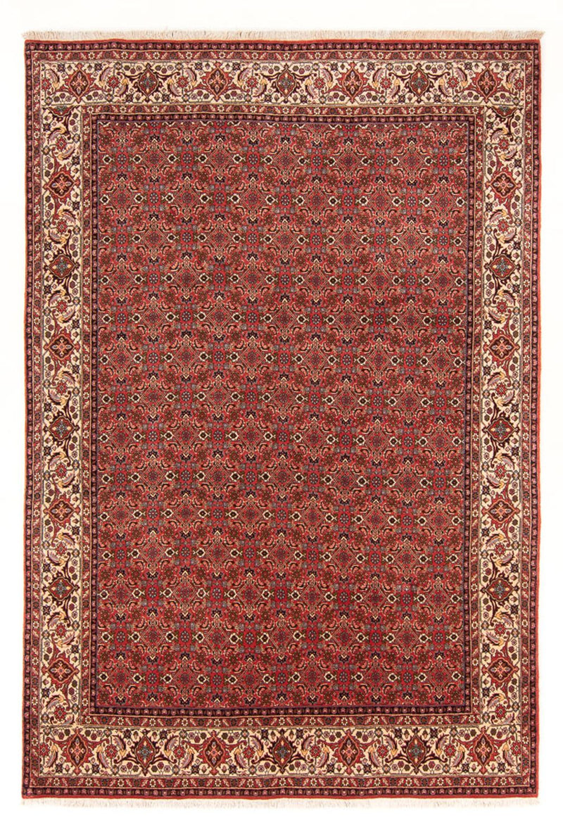 Tapis persan - Bidjar - 289 x 195 cm - rouge