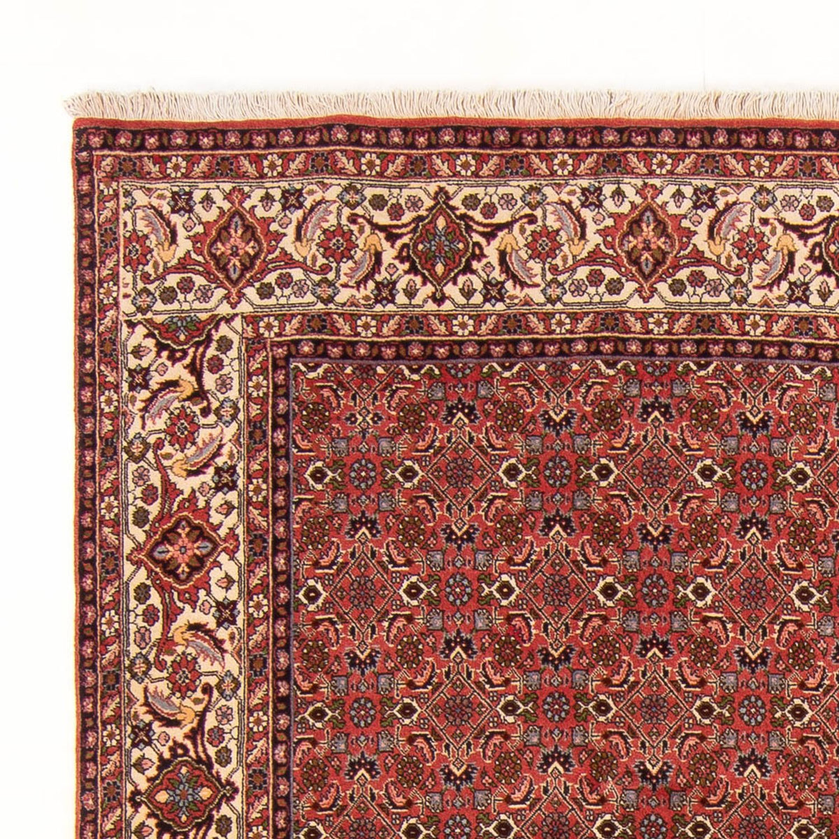 Tapis persan - Bidjar - 289 x 195 cm - rouge