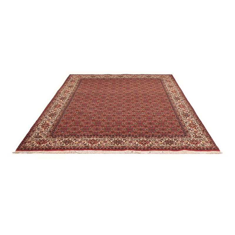 Tapis persan - Bidjar - 289 x 195 cm - rouge