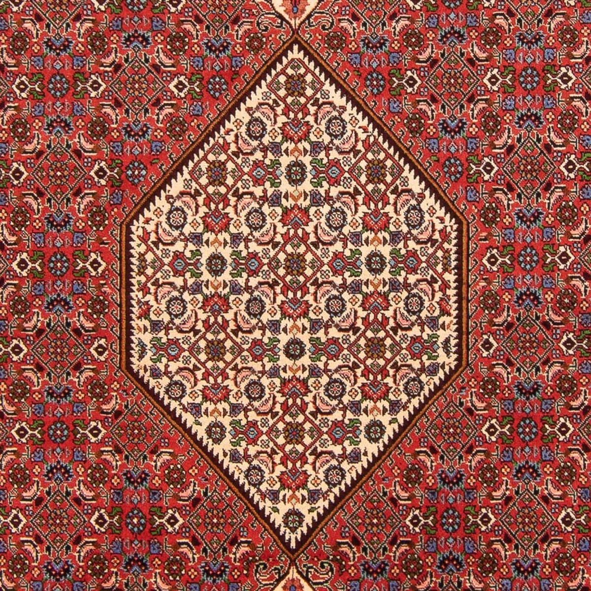 Tapis persan - Bidjar - 300 x 200 cm - rouge
