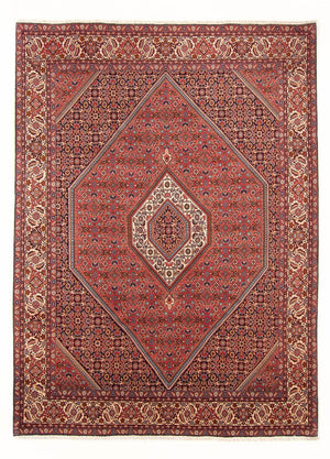 Tapis persan - Bidjar - 290 x 204 cm - rouge