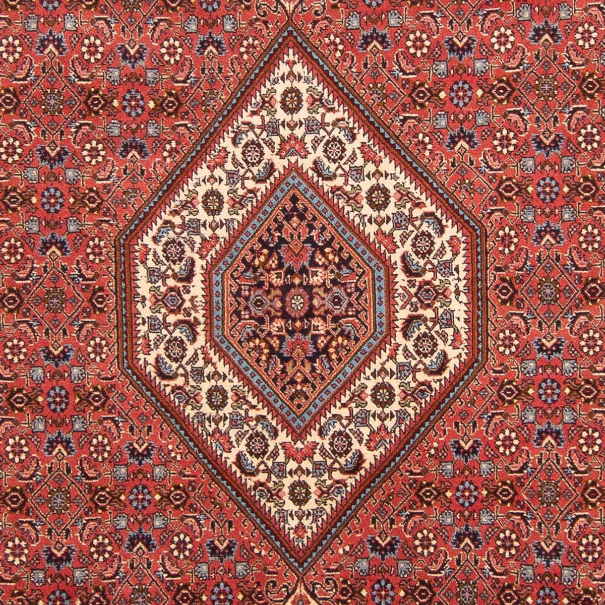 Tapis persan - Bidjar - 290 x 204 cm - rouge