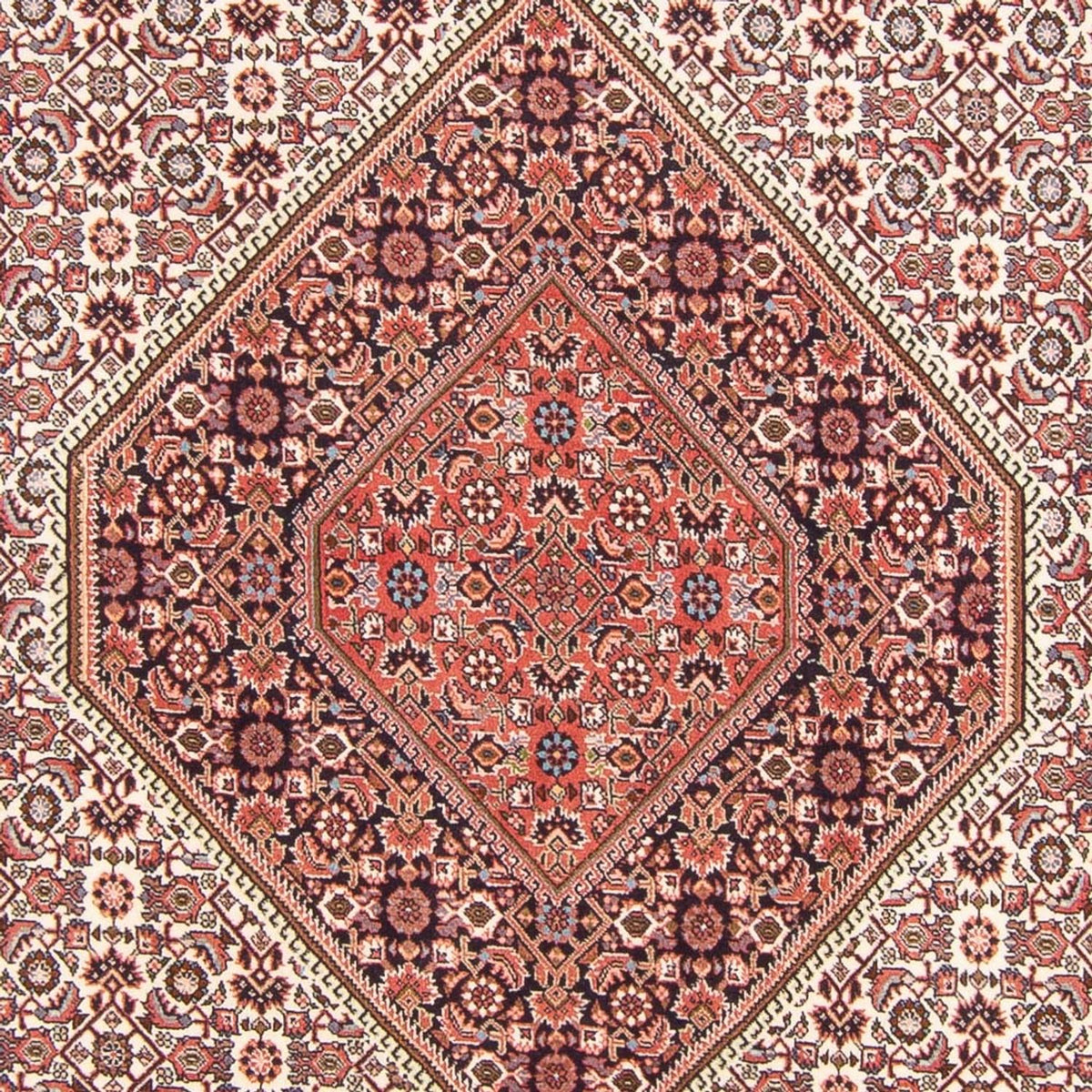 Tapis persan - Bidjar - 294 x 202 cm - rouge