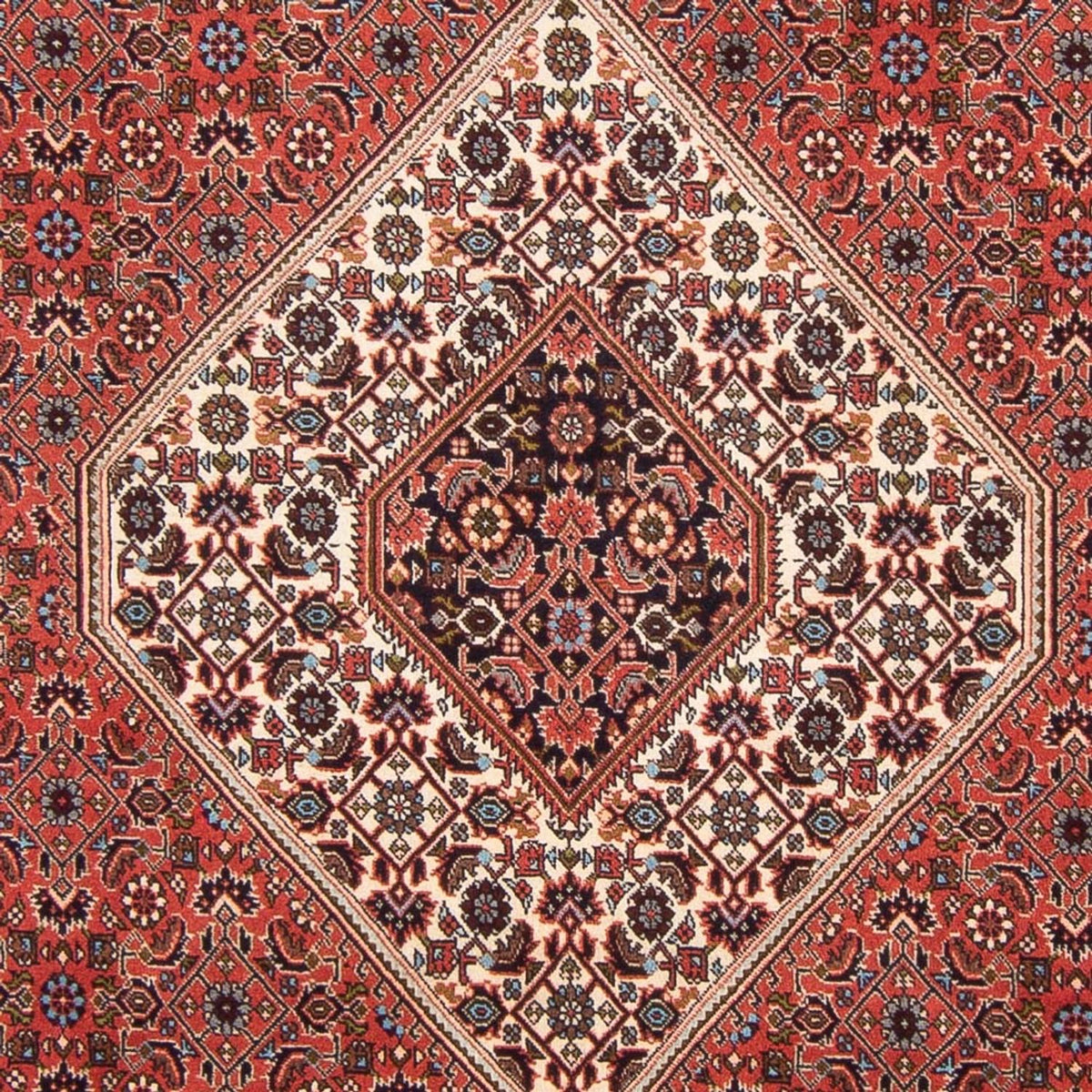 Tapis persan - Bidjar - 288 x 200 cm - rouge