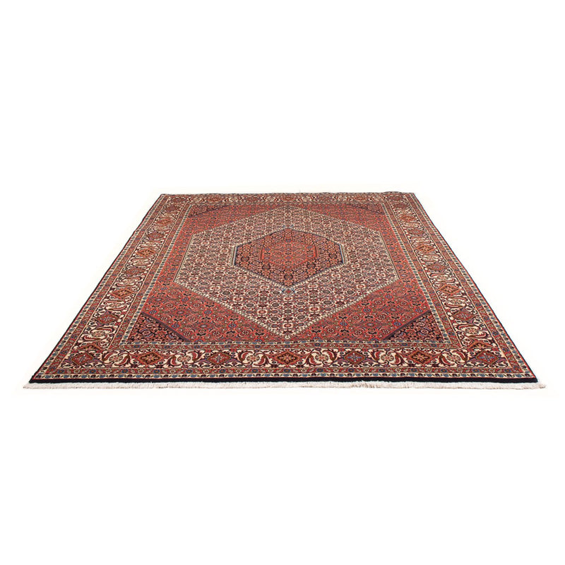 Tapis persan - Bidjar - 303 x 200 cm - rouge