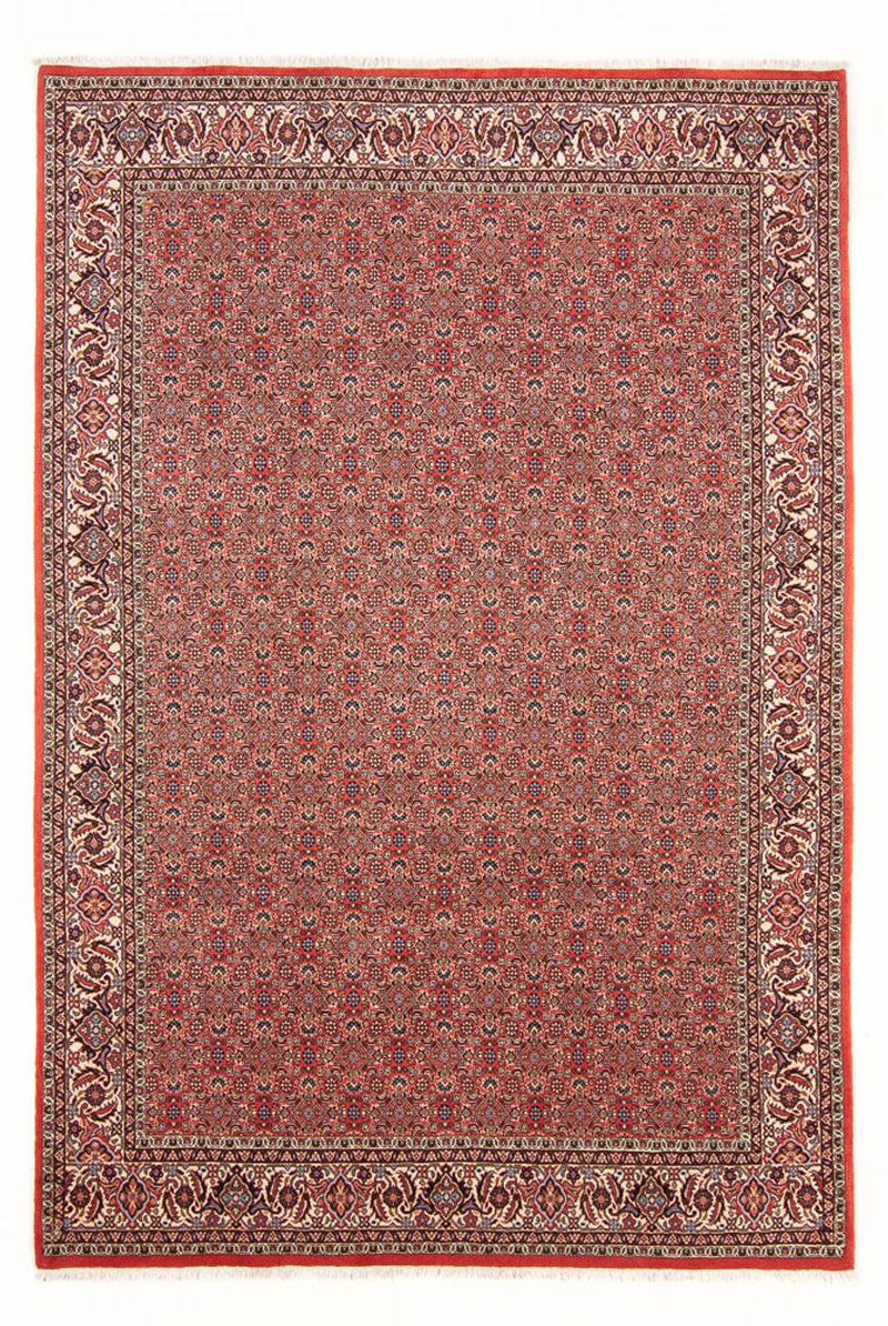 Tapis persan - Bidjar - 298 x 196 cm - rouge