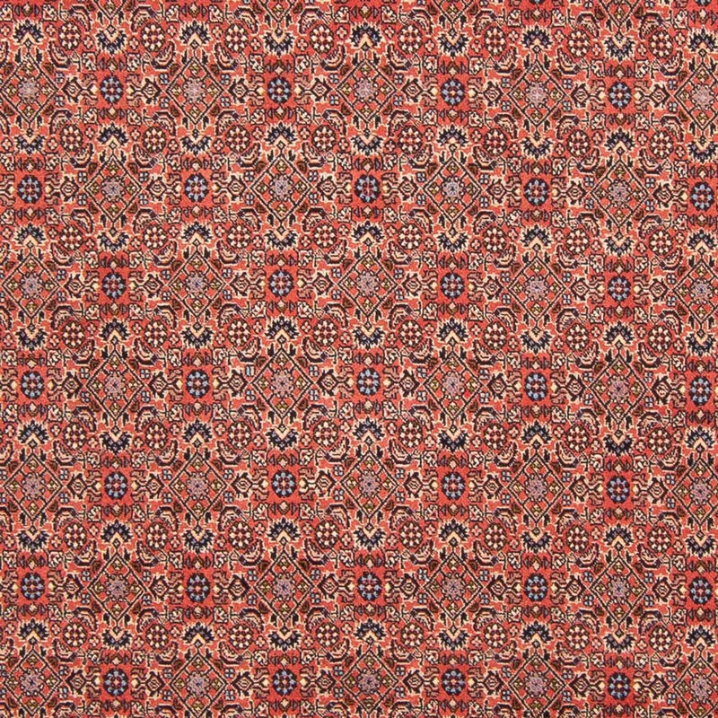 Tapis persan - Bidjar - 298 x 196 cm - rouge
