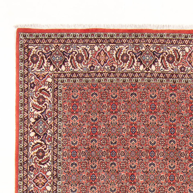 Tapis persan - Bidjar - 298 x 196 cm - rouge