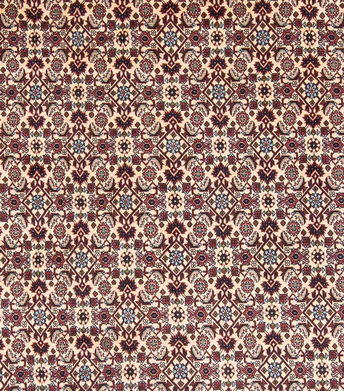 Tapis persan - Bidjar - 344 x 245 cm - crème