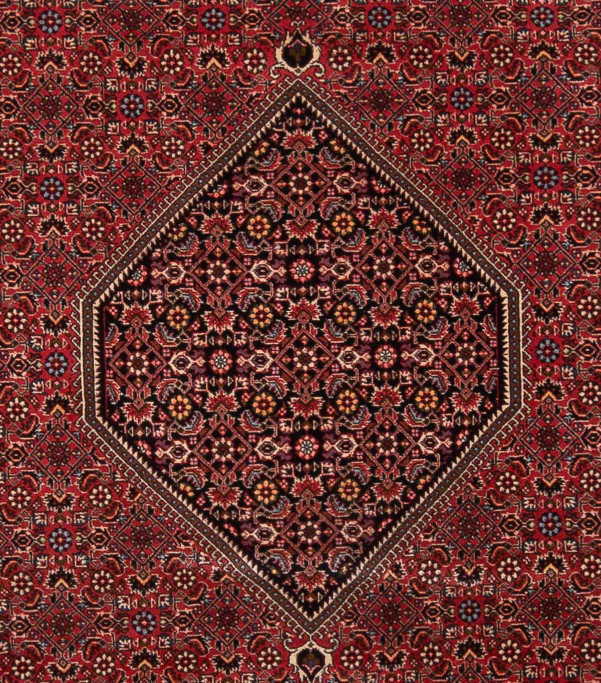 Tapis persan - Bidjar - 347 x 247 cm - rouge