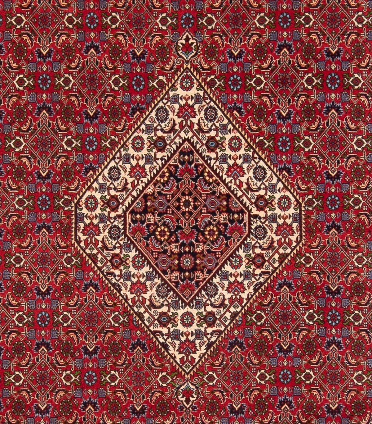 Tapis persan - Bidjar - 358 x 249 cm - rouge