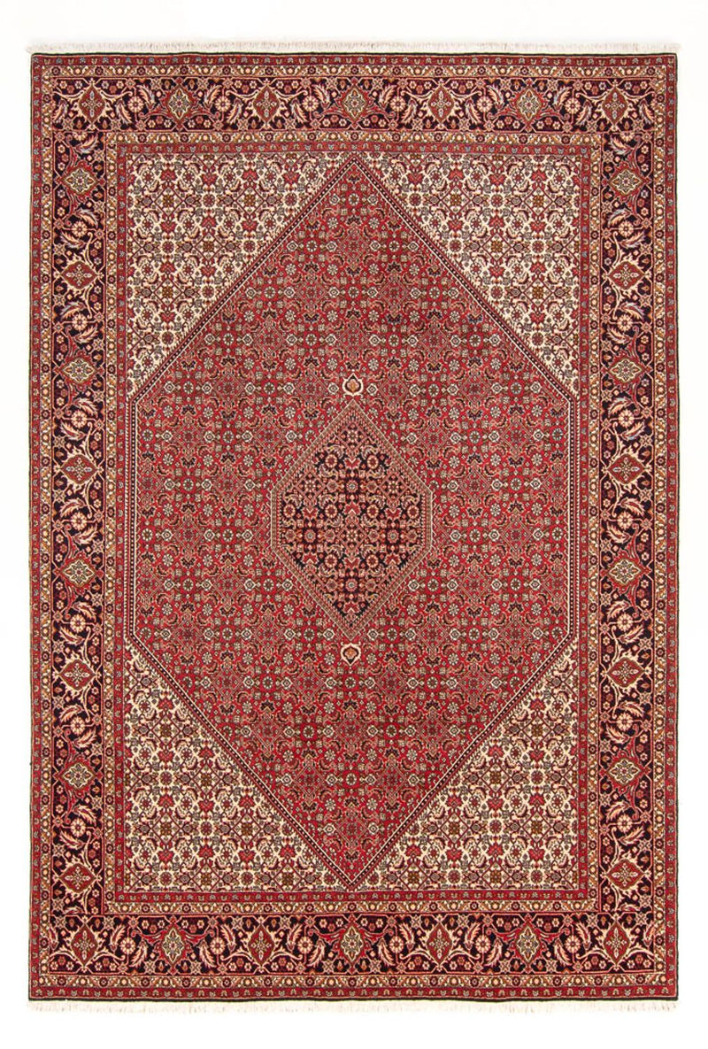 Tapis persan - Bidjar - 298 x 203 cm - rouge