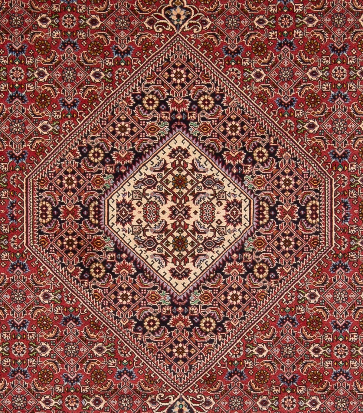 Tapis persan - Bidjar - 339 x 249 cm - rouge foncé
