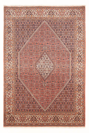 Tapis persan - Bidjar - 286 x 194 cm - rouge