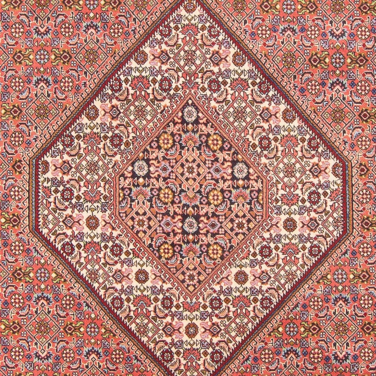 Tapis persan - Bidjar - 297 x 198 cm - rouge
