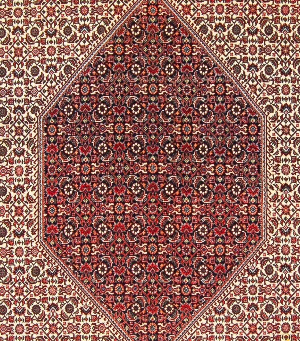 Tapis persan - Bidjar - 300 x 253 cm - crème