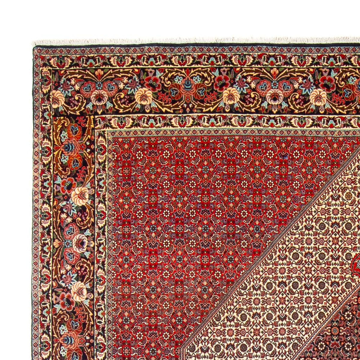Tapis persan - Bidjar - 300 x 253 cm - crème