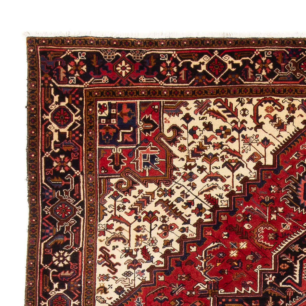 Tapis persan - Nomadic - 339 x 243 cm - crème