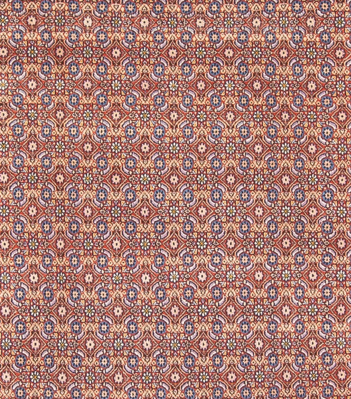 Tapis persan - Classique - 294 x 243 cm - bleu foncé