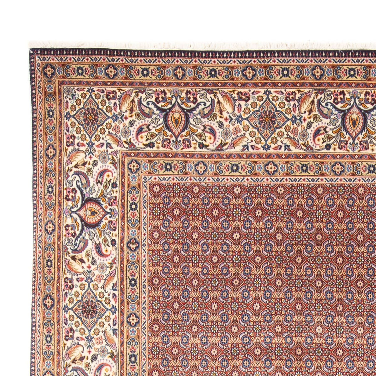 Tapis persan - Classique - 294 x 243 cm - bleu foncé