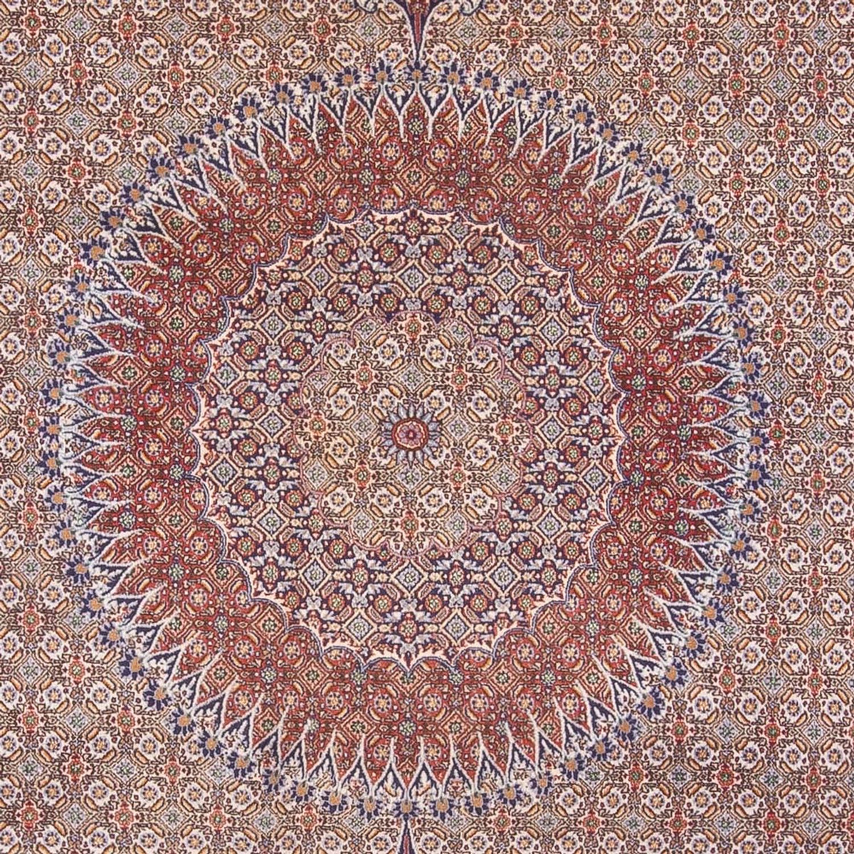 Tapis persan - Classique - 388 x 293 cm - beige foncé