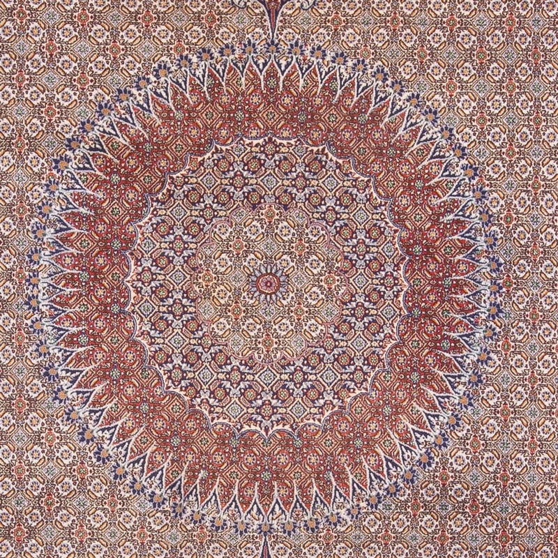 Tapis persan - Classique - 388 x 293 cm - beige foncé