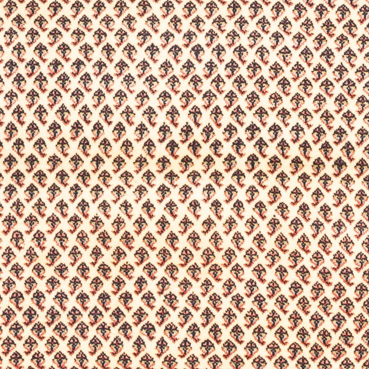 Tapis persan - Mir - 160 x 107 cm - crème