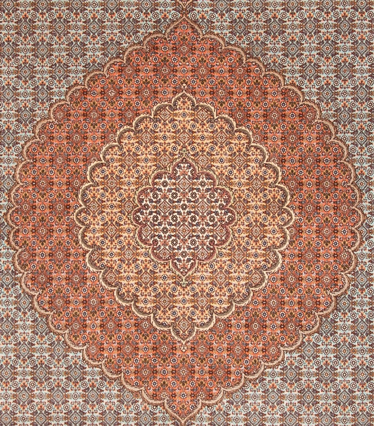 Tapis persan - Tabriz - Royal - 304 x 248 cm - marron clair