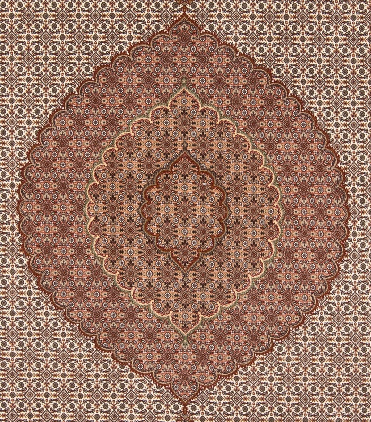Tapis persan - Tabriz - 355 x 250 cm - marron clair