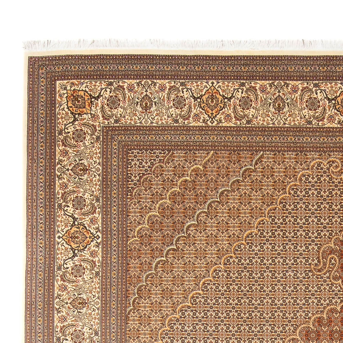 Tapis persan - Tabriz - 290 x 250 cm - marron clair
