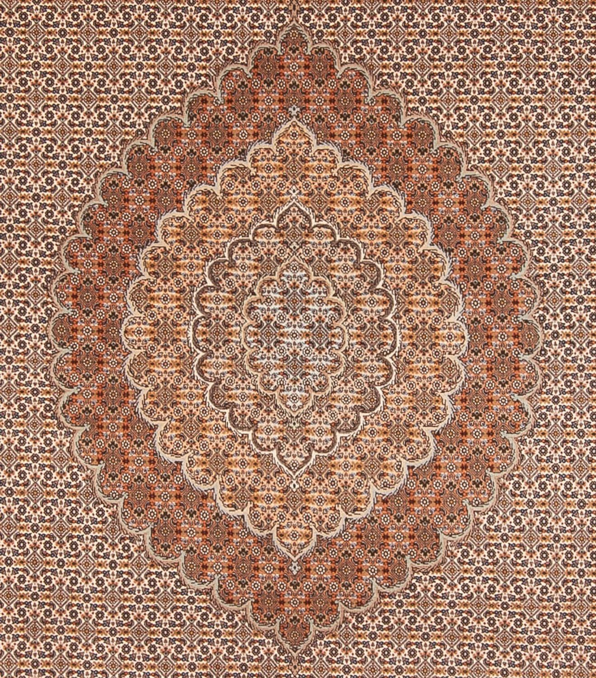 Tapis persan - Tabriz - 349 x 254 cm - marron clair