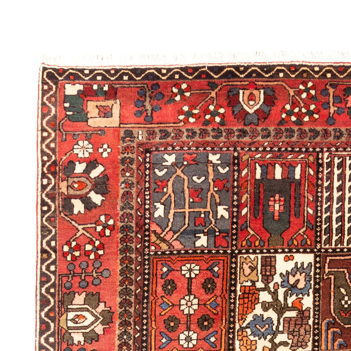 Tapis persan - Nomadic - 314 x 207 cm - multicolore