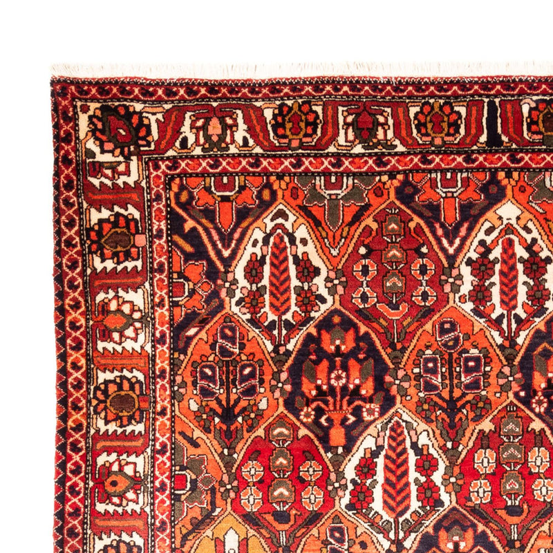 Tapis persan - Nomadic - 300 x 220 cm - multicolore