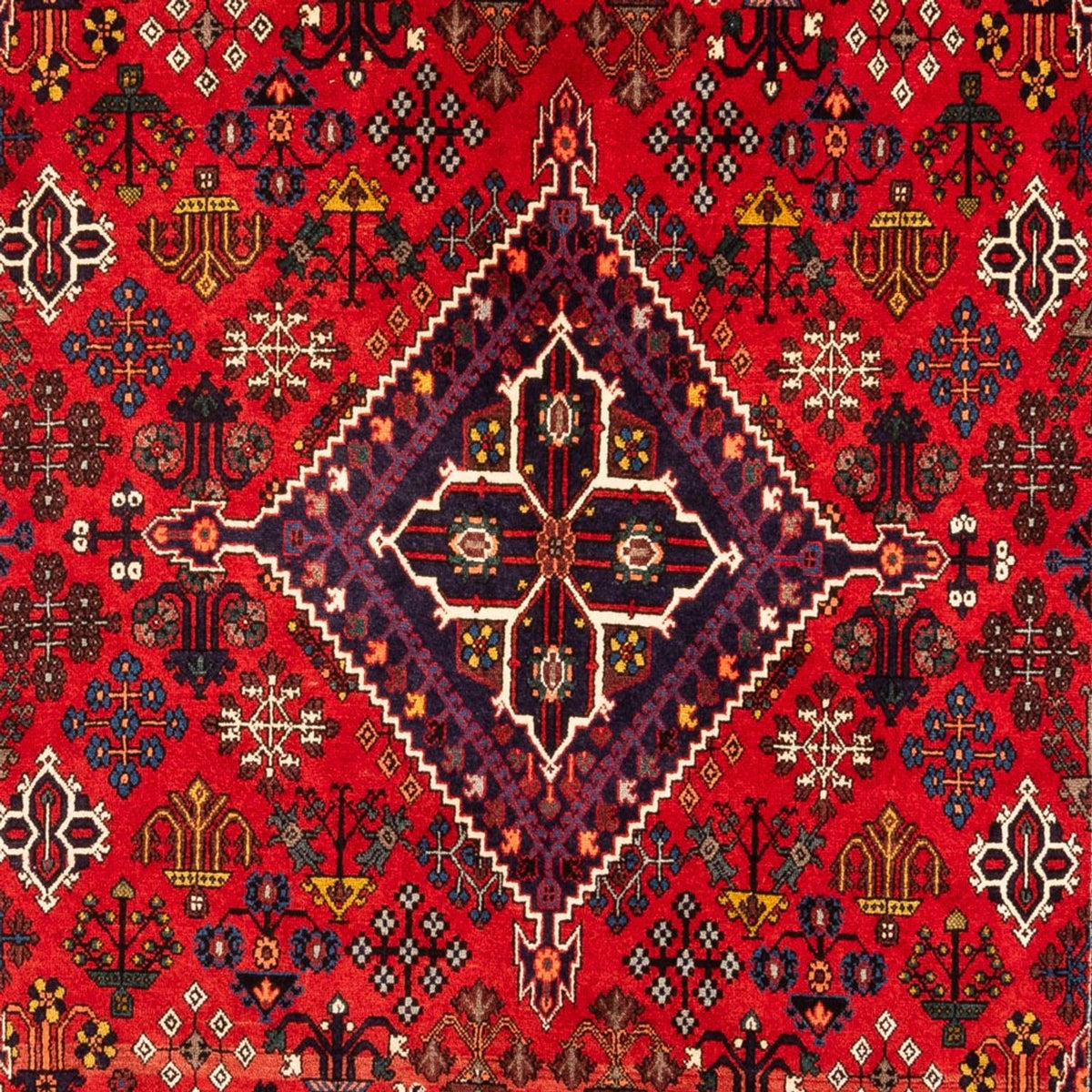 Tapis Gabbeh - Persan - 320 x 216 cm - multicolore