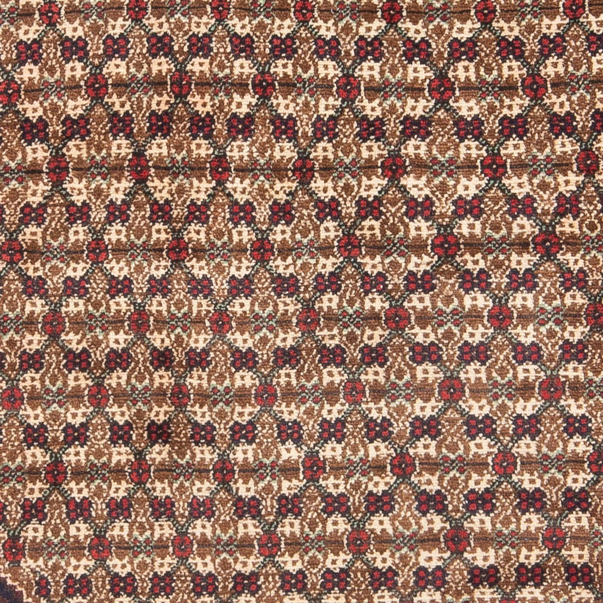Tapis persan - Nomadic - Royal - 197 x 127 cm - crème
