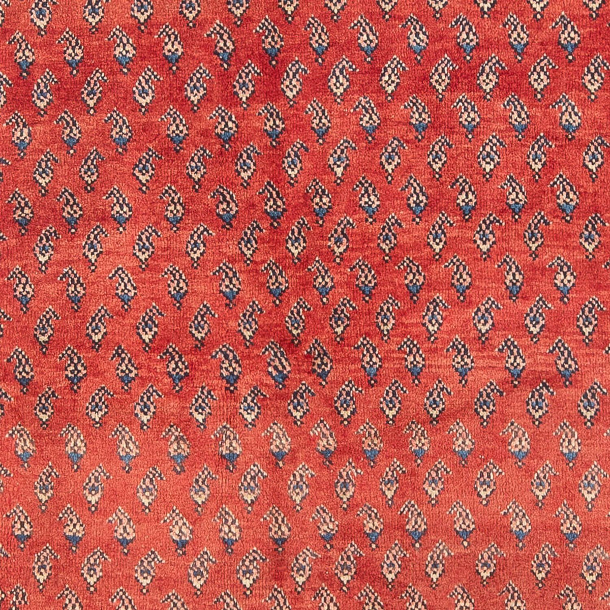 Tapis persan - Nomadic - Royal - 211 x 134 cm - rouge