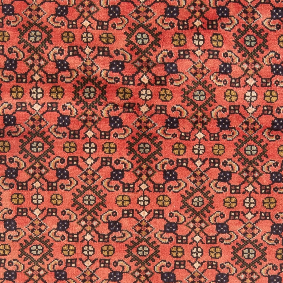 Tapis persan - Nomadic - 190 x 155 cm - rouge