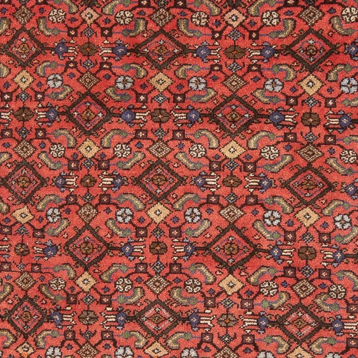 Tapis persan - Nomadic - 202 x 160 cm - rouge