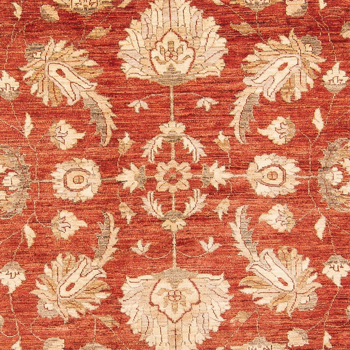 Tapis Ziegler - 367 x 271 cm - rouge