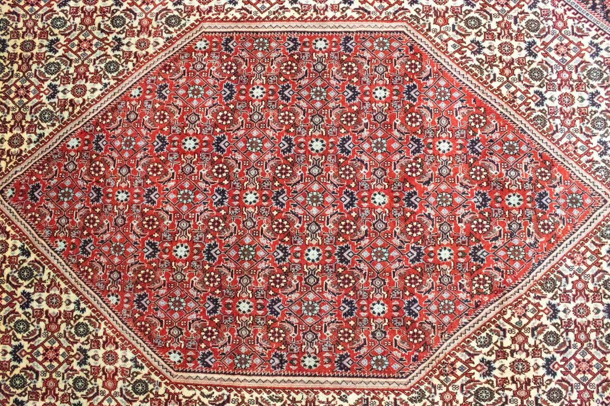 Tapis persan - Bidjar - 302 x 203 cm - rouge